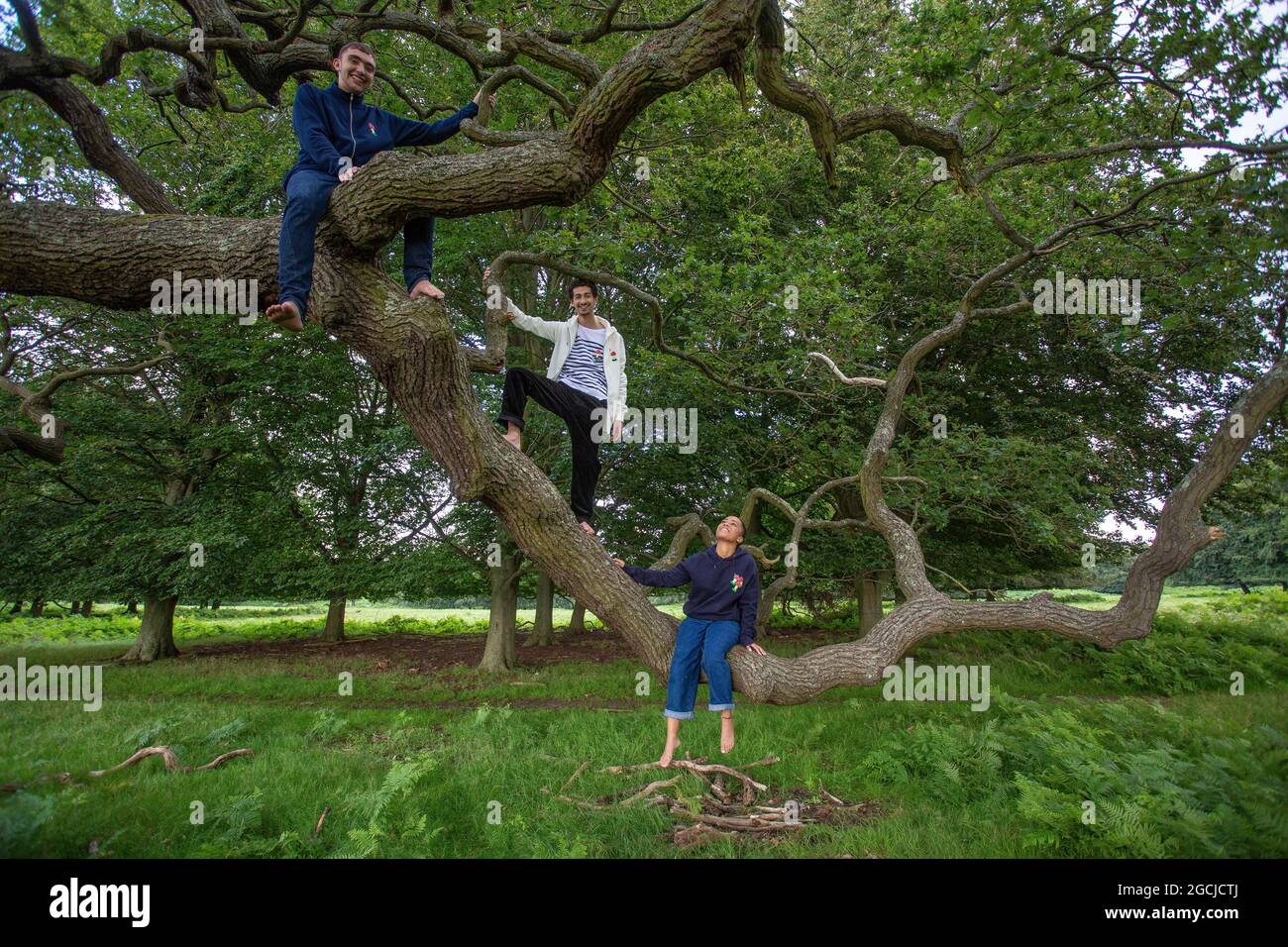Grupo de jóvenes en el parque subiendo un árbol Foto de stock