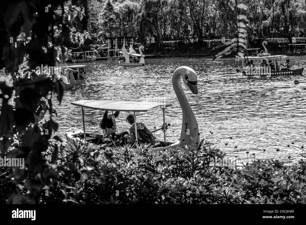 BAGUIO, FILIPINAS - 21 de diciembre de 2016: Una foto en escala de grises de navegación en Burnham Park Baguio City, Filipinas Foto de stock