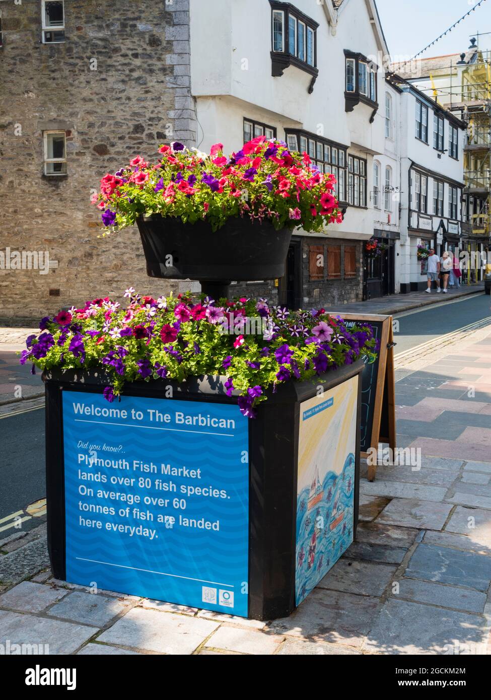 Plantadores ornamentales llenos de petunias para exhibición de verano en Southside Street, The Barbican, Plymouth, Reino Unido Foto de stock