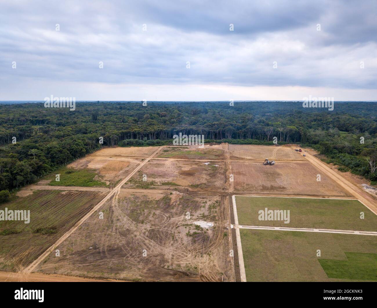 Vista aérea de la deforestación de la selva amazónica. Árboles forestales destruidos para abrir tierras a la zona comercial. Concepto de medio ambiente, ecología, clima. Foto de stock