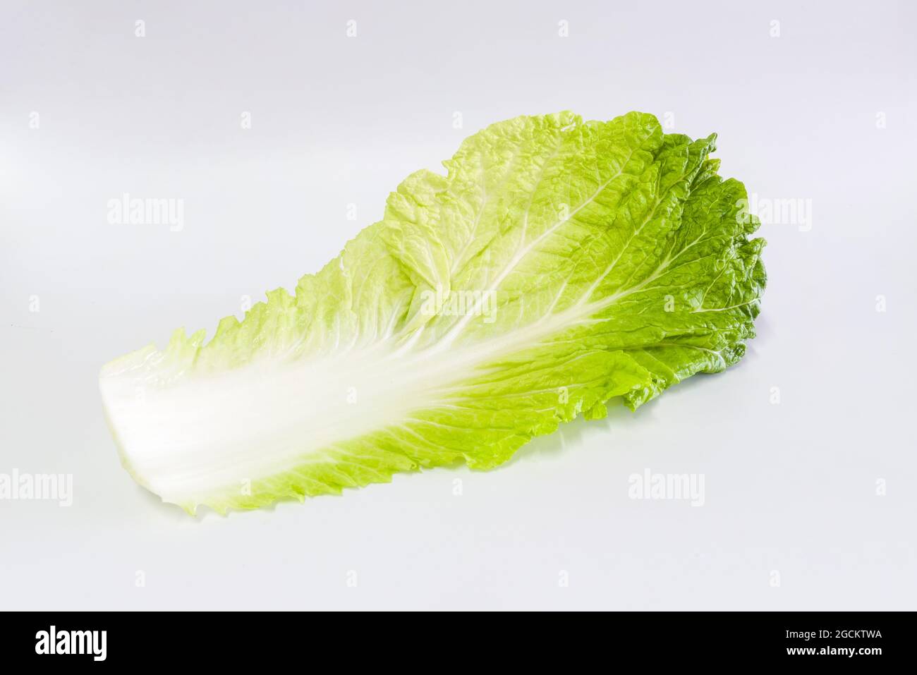 Hojas verdes de lechuga de primer plano para ensalada, aisladas sobre un fondo blanco Foto de stock