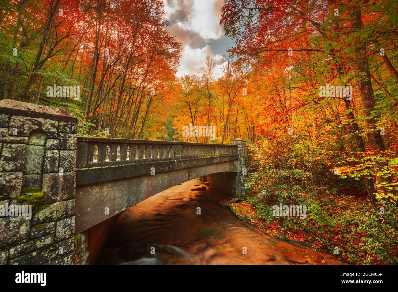 Carreteras de otoño en Pisgah National Forest, Carolina del Norte, EE.UU. Foto de stock