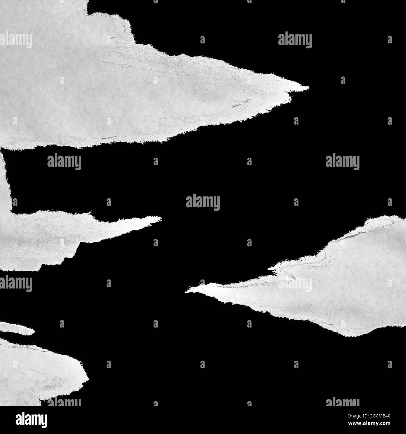 Estilo de collage de papel rasgado en blanco y negro, efecto de papel  rasgado, fondo abstracto de textura, espacio de copia para texto Fotografía  de stock - Alamy
