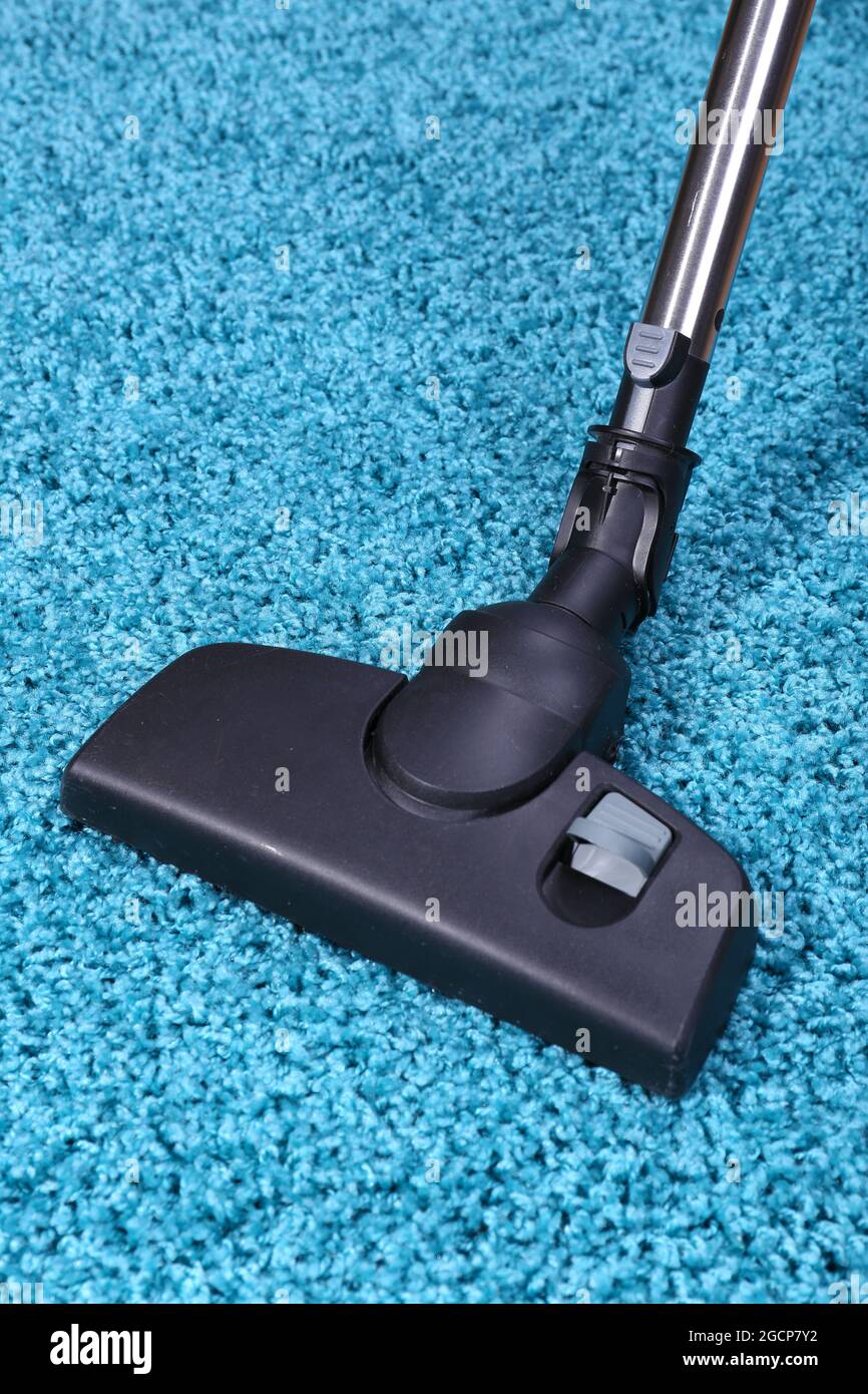 Aspirar la alfombra en la casa Fotografía de stock - Alamy