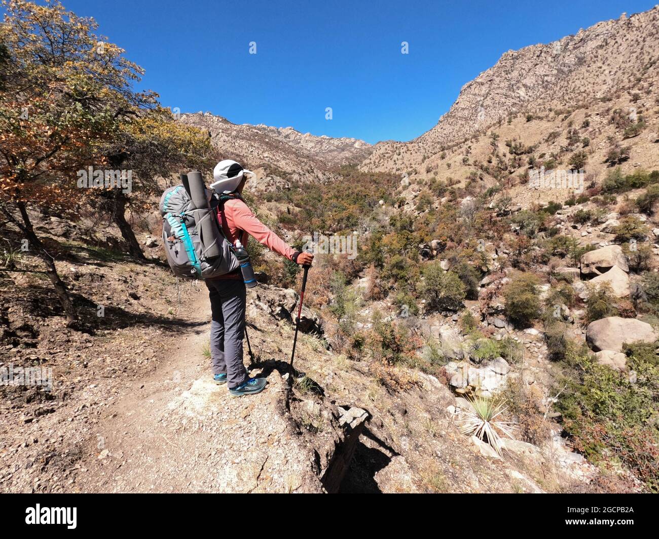 Senderismo a través del Desierto de Sonora en el Arizona Trail, Arizona, U. S. A. Foto de stock