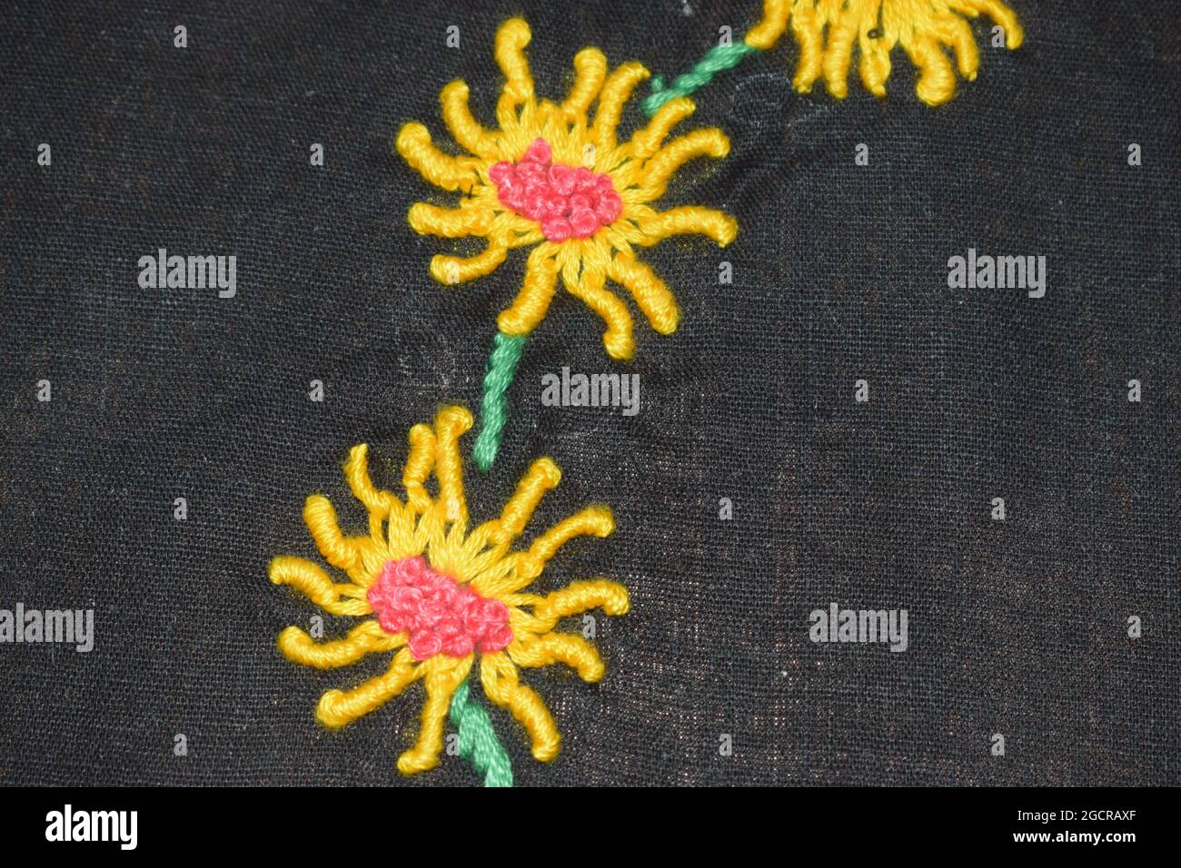 Técnicas sencillas de bordado mexicano y brasileño, diseño de bordado a mano mixto, diseño de flores bordadas a mano, puntada booleana Lazy daisy con nudo f Fotografía de stock - Alamy Técnicas sencillas de bordado mexicano y brasileño, diseño de bordado a mano mixto, diseño de flores bordadas a mano, puntada booleana Lazy daisy con nudo f Fotografía de stock - Alamy