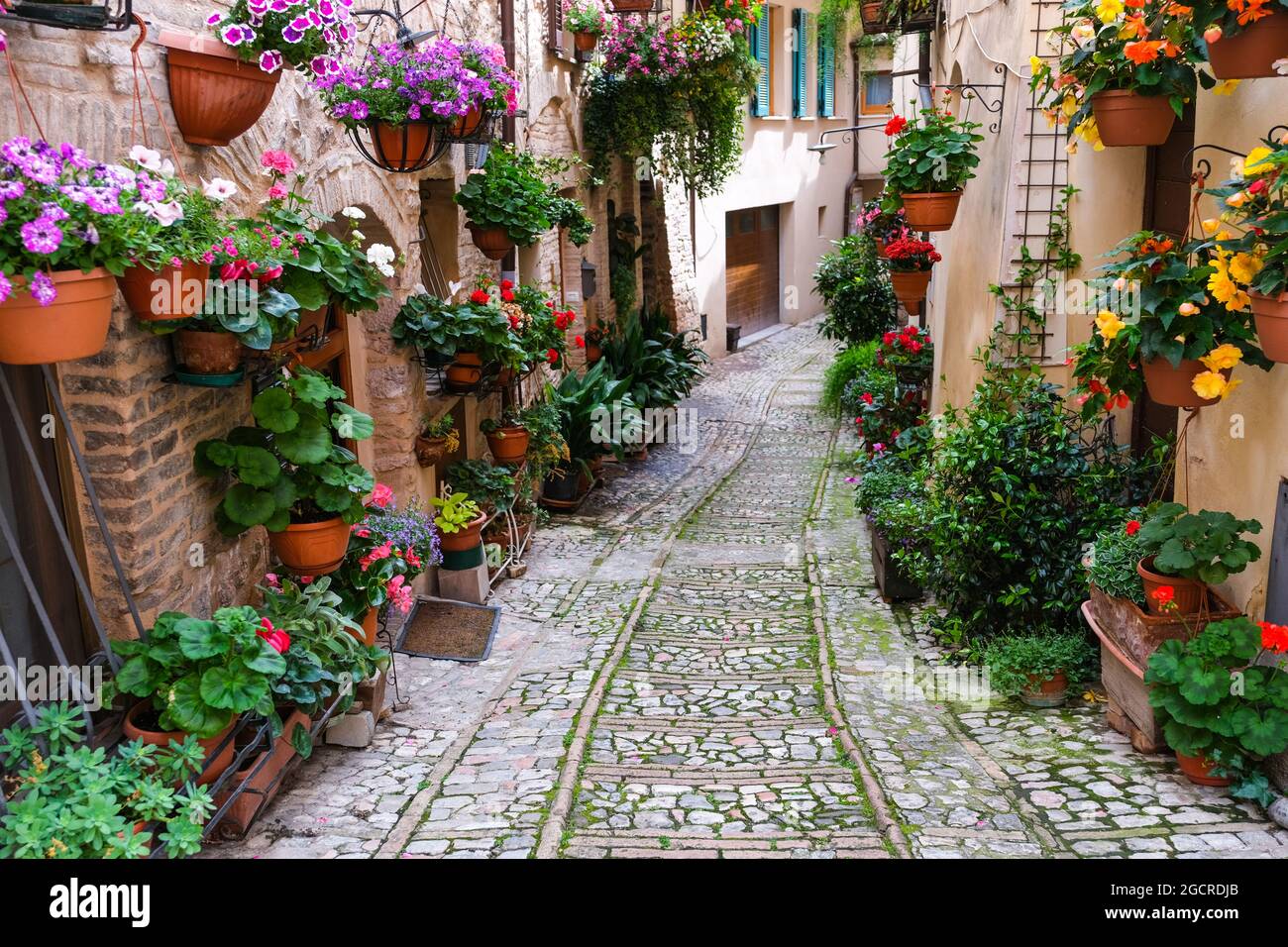 Calle bordeada de flores en Spello Umbria Italia Foto de stock