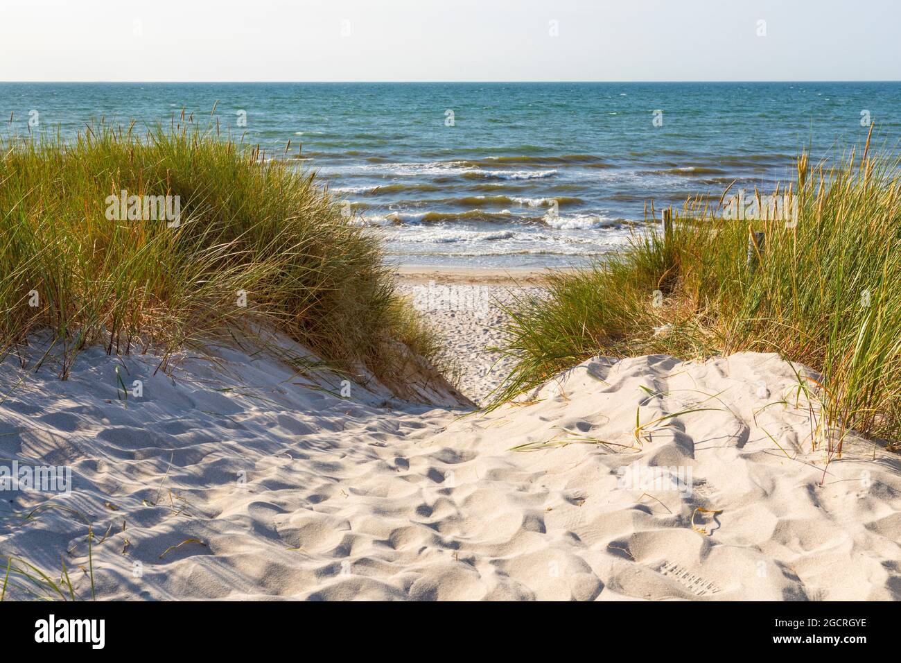 Acceso a través de las dunas a la playa del Mar Báltico en Graal-Müritz, Mecklemburgo-Pomerania Occidental, Alemania Foto de stock