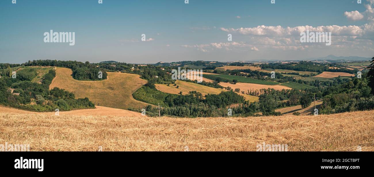 Campos de trigo cosechados y bosques en las colinas de la provincia de Pesaro y Urbino, Marche, Italia. Foto de stock