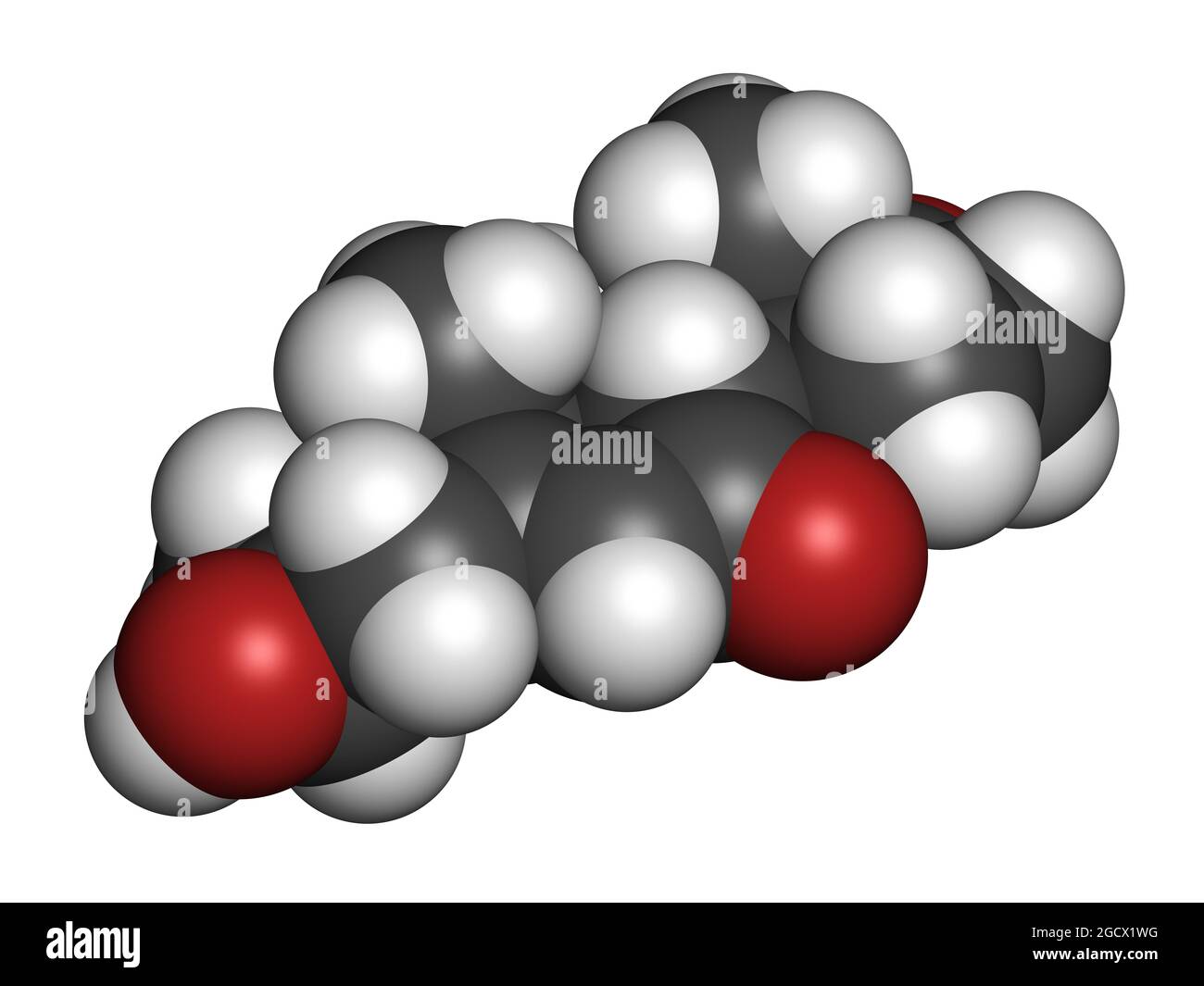 Molécula de 7-cetodehidroepiandrosterona o 7-keto-DHEA. 3D renderizado  Fotografía de stock - Alamy