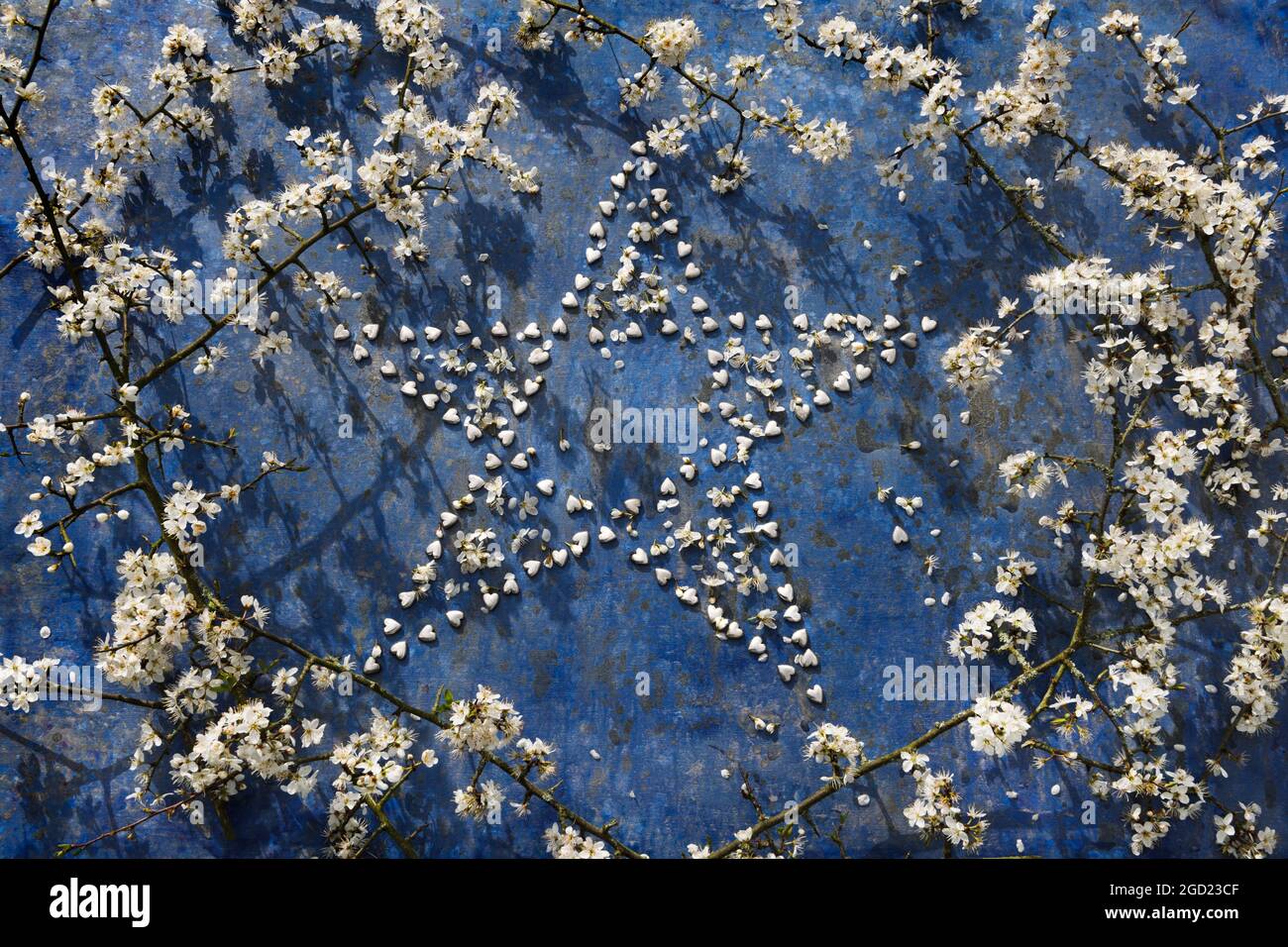 Forma de estrella hecha de pequeños corazones de plata rodeados de ramas de flor de espina negra. Foto de stock