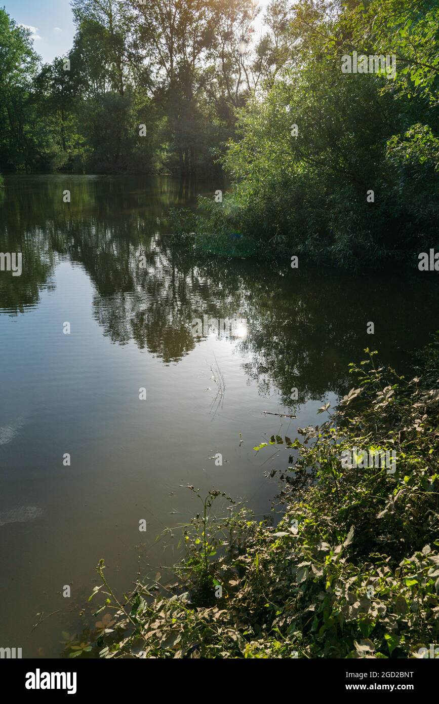 Sol en la superficie lisa de un lago Foto de stock