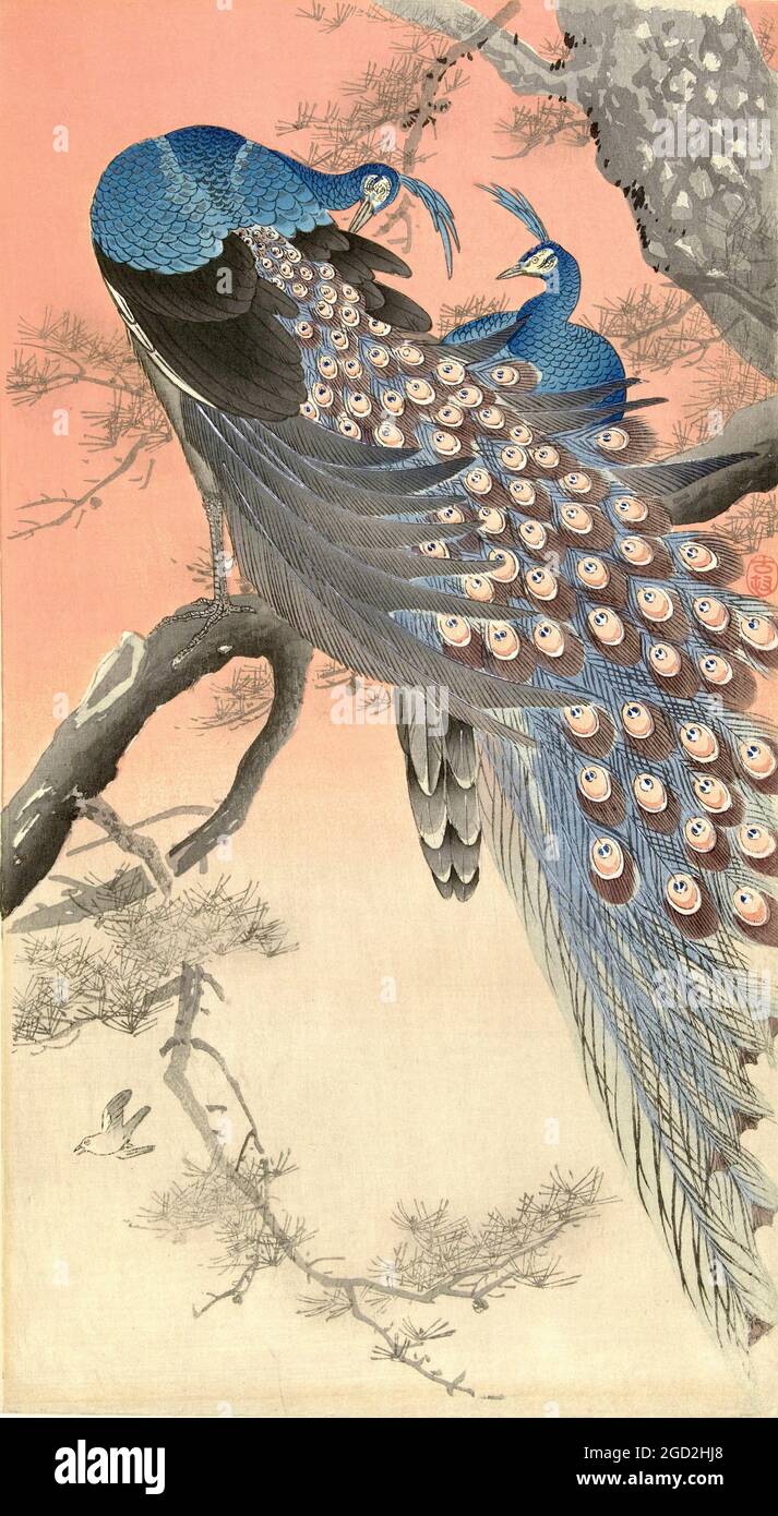 Obra de arte de OHara Koson titulada Dos gallos en la rama de un árbol Foto de stock