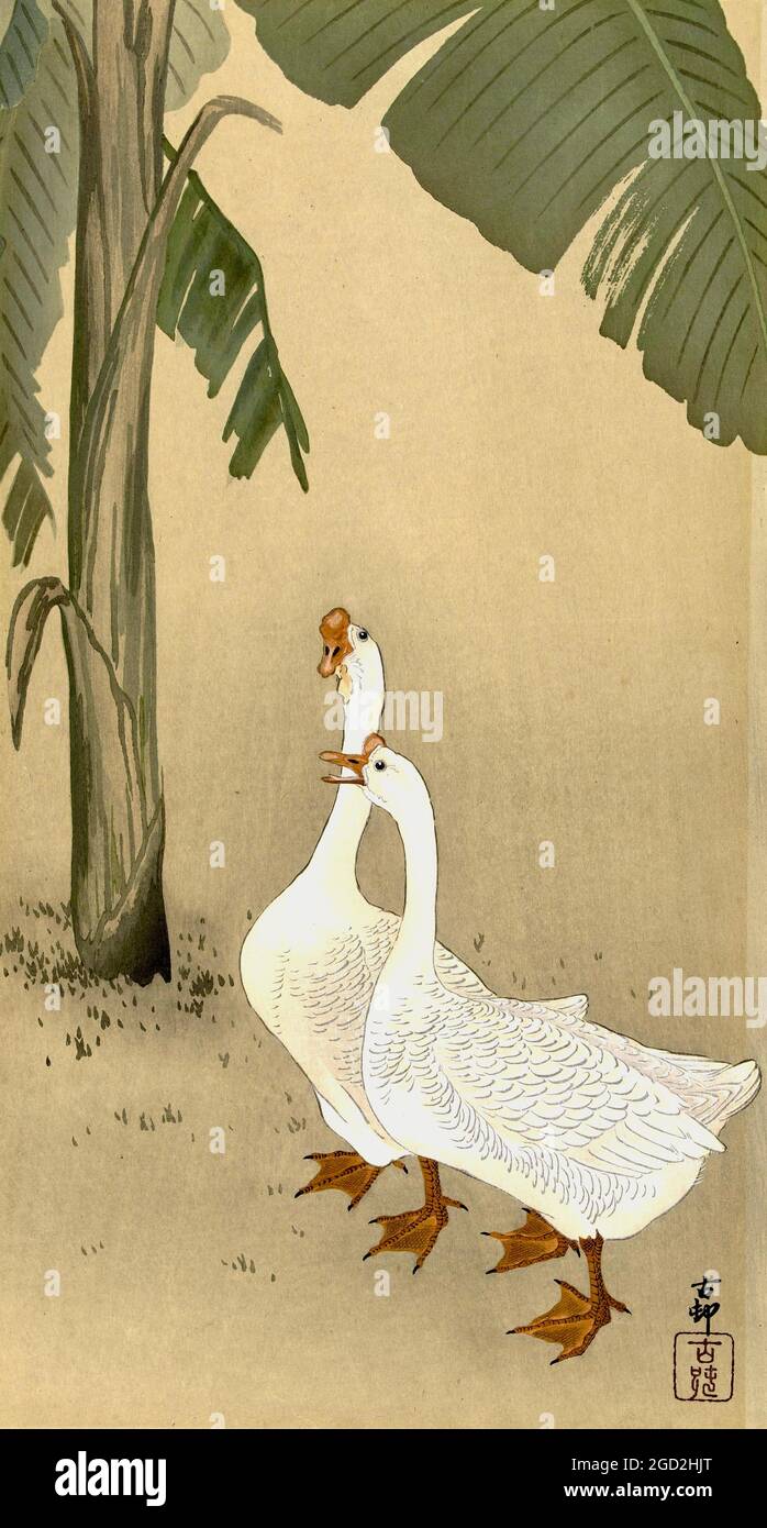 Obra de arte de OHara Koson titulada Dos Geeses en un Banana Tree Foto de stock