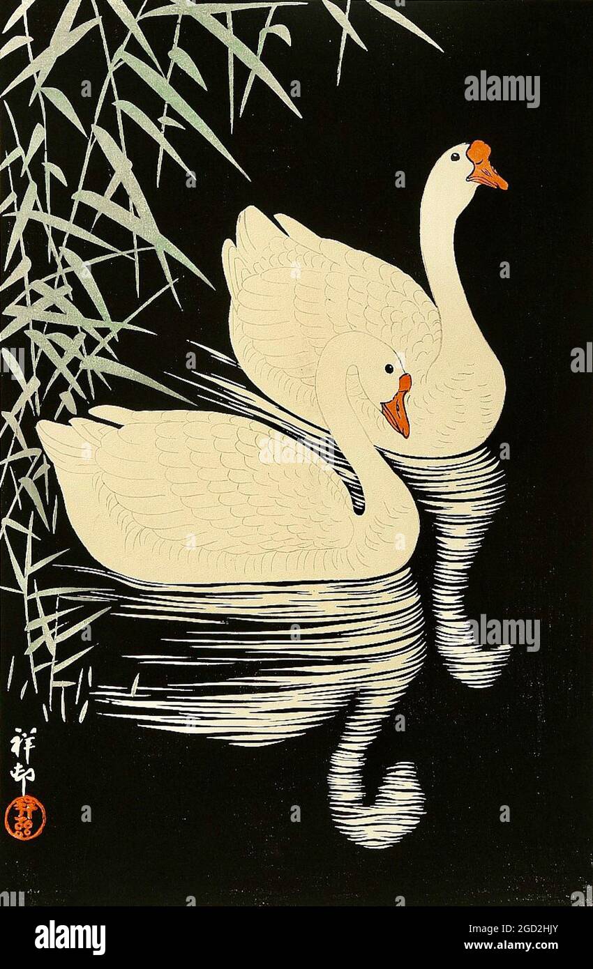 Obra de arte OHara Koson titulada Chinese Geese Swimming by Reeds Foto de stock