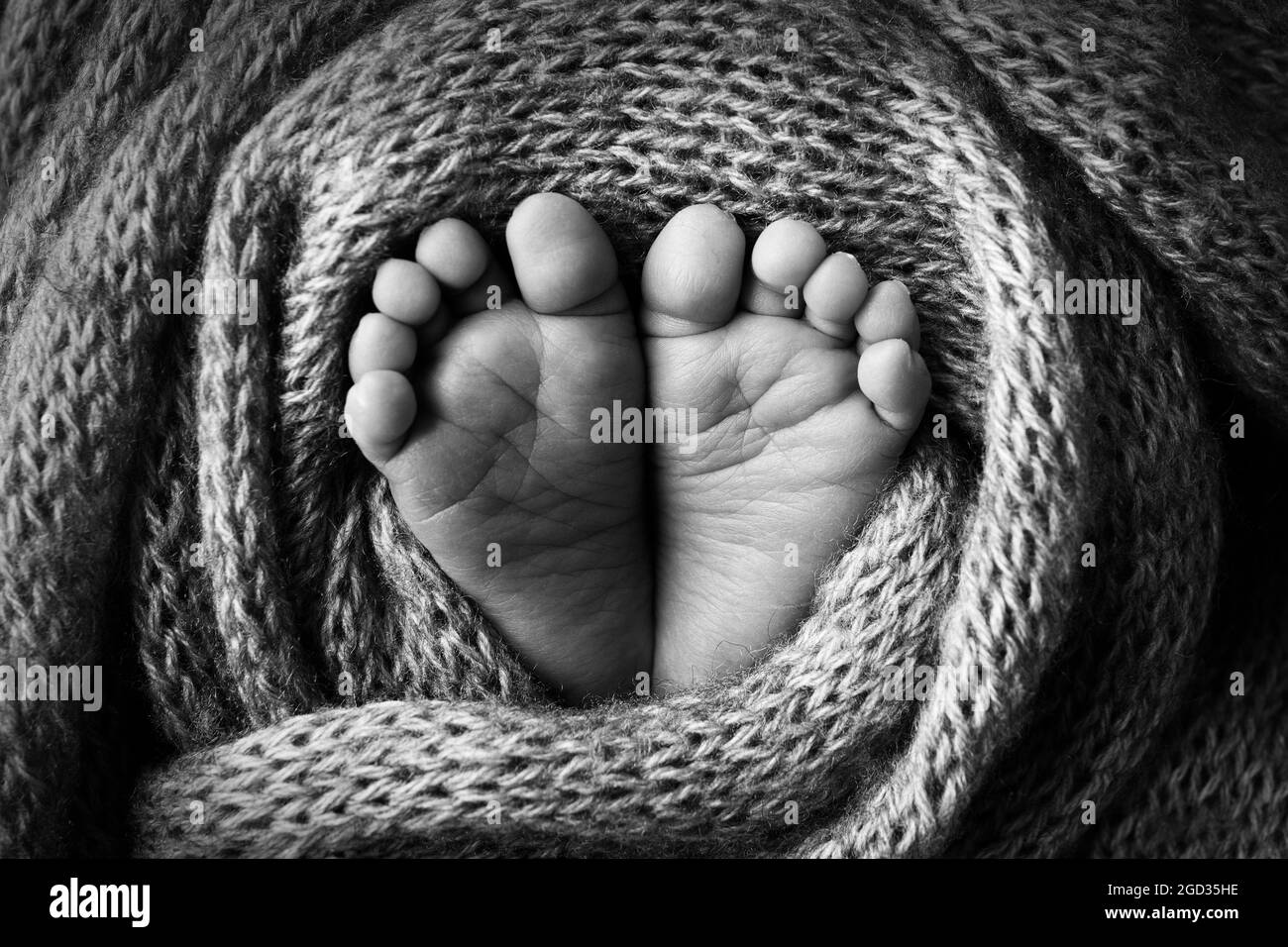 Los pies del bebé en una manta de lana azul claro y suave. Foto en blanco y negro. Foto de stock