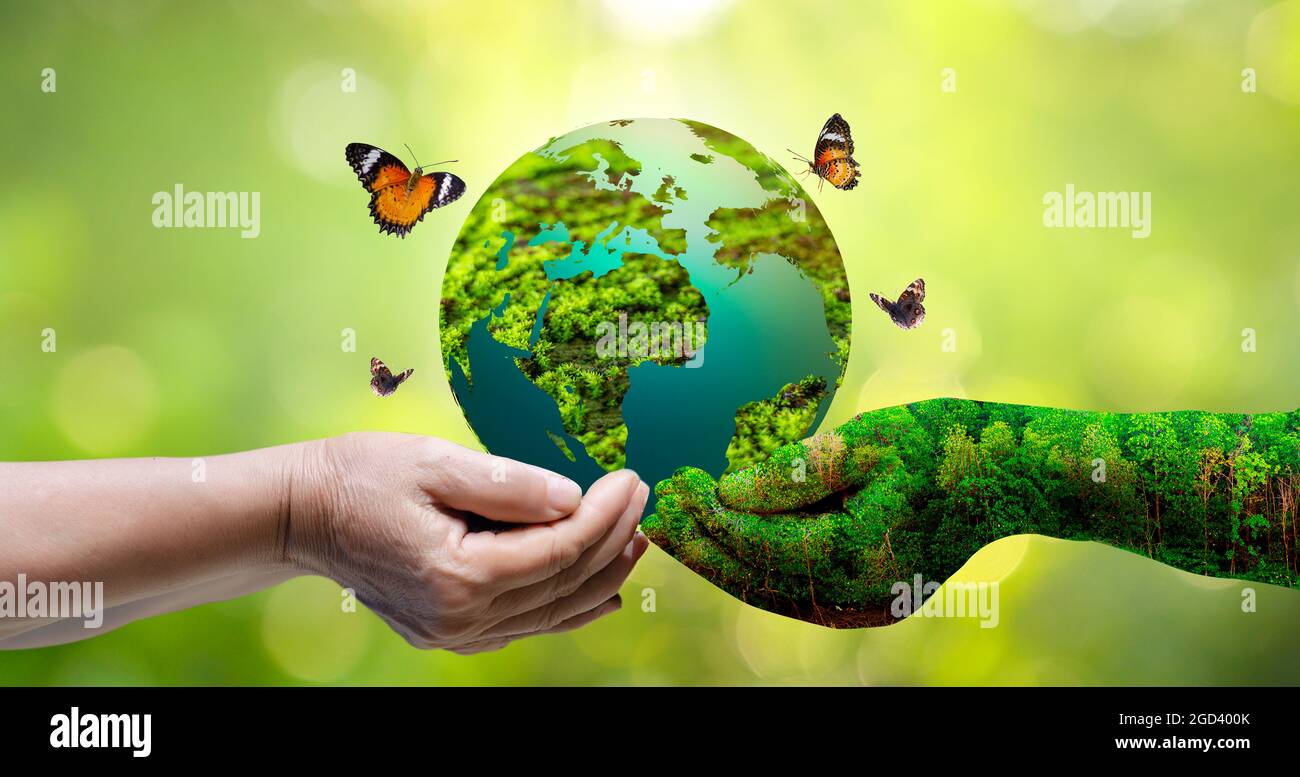 Concepto salvar el mundo salvar el medio ambiente del mundo se encuentra en  la hierba de la verde fondo bokeh Fotografía de stock - Alamy
