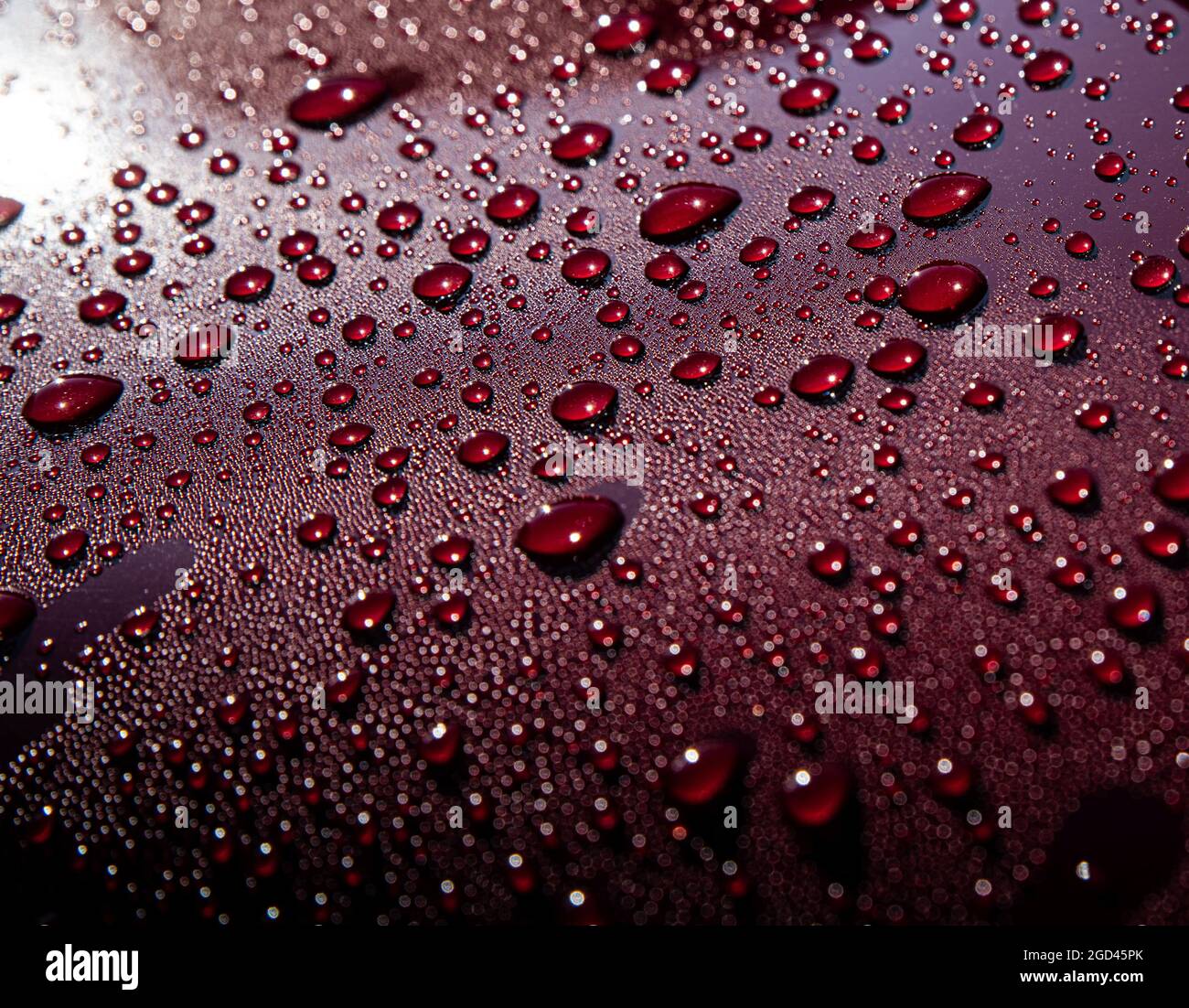 Efecto hidrofóbico sobre la pintura roja del coche después de la lluvia  Fotografía de stock - Alamy