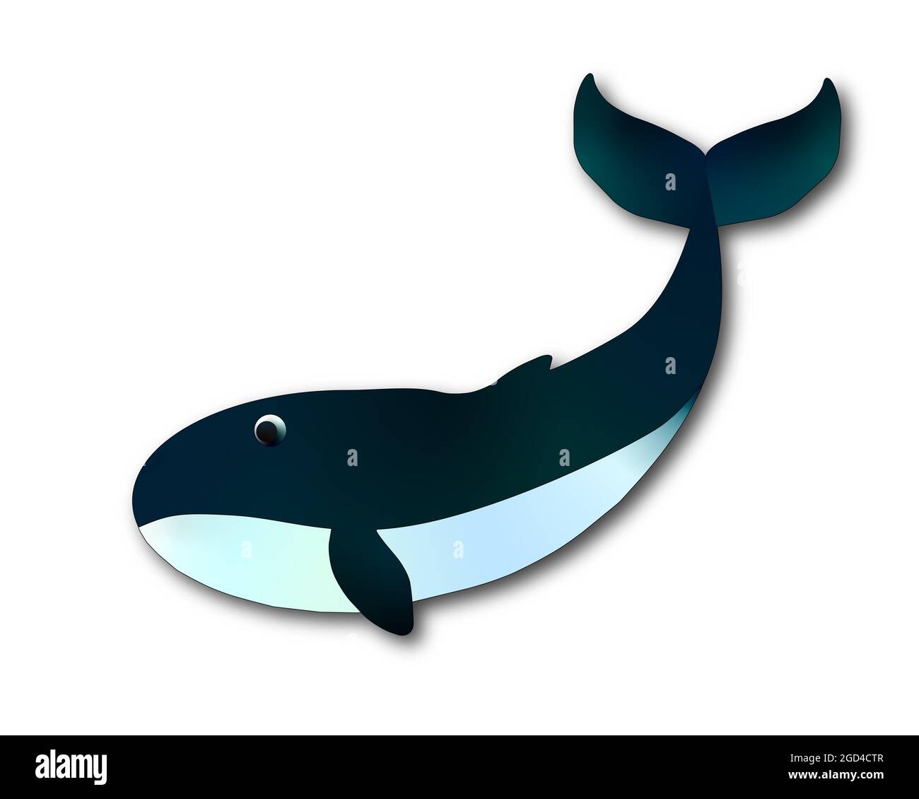 ilustración ballena de dibujos animados aislada sobre fondo blanco  Fotografía de stock - Alamy