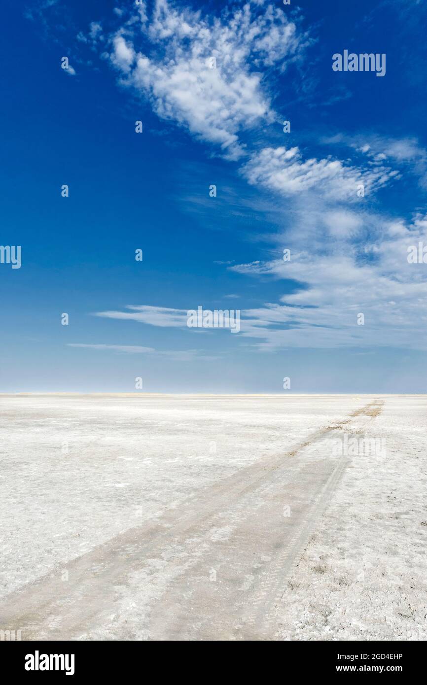 Paisaje con pistas vehiculares de la Salar de Makgadikgadi, Botswana Foto de stock