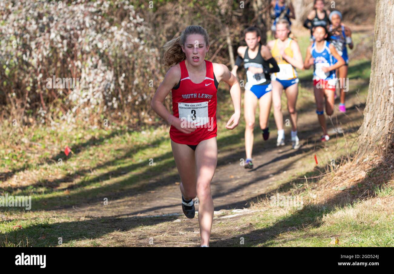 Wappinger Falls, New York, Estados Unidos 23 de noviembre de 2019