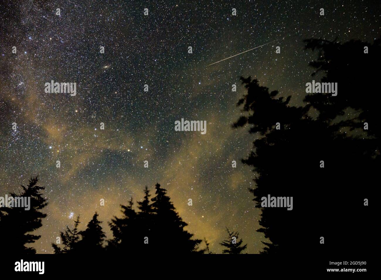 Spruce Knob, Estados Unidos. 11th de agosto de 2021. En esta exposición de 30 segundos, un meteoro cruza el cielo durante la lluvia anual de meteoros Perseidas, el miércoles 11 de agosto de 2021, en Spruce Knob, Virginia Occidental. Foto de la NASA por Bill Ingalls/UPI Crédito: UPI/Alamy Live News Foto de stock