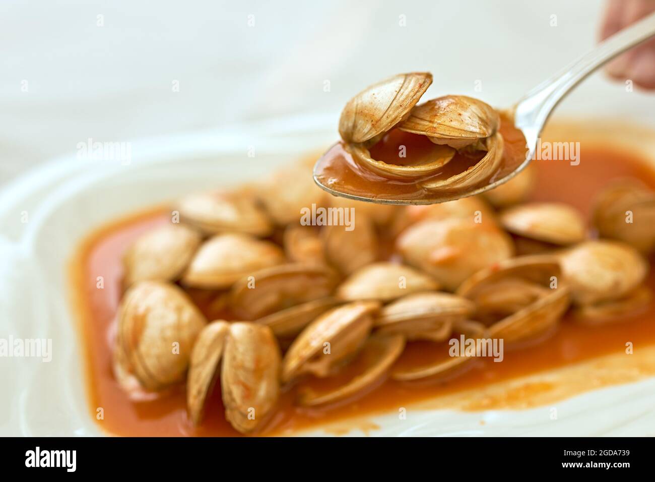 Cuchara con almejas en salsa en un plato de almejas. Foto de stock