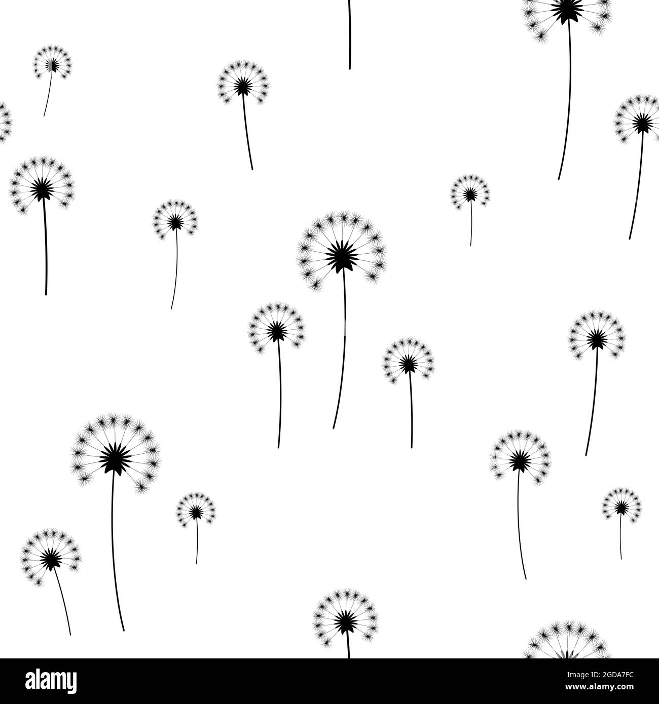 Textura floral sin costuras con flores de diente de león negro. Fondo blanco.  Ilustración vectorial con ramitas. Ornamento para imprimir sobre tela,  papel Imagen Vector de stock - Alamy