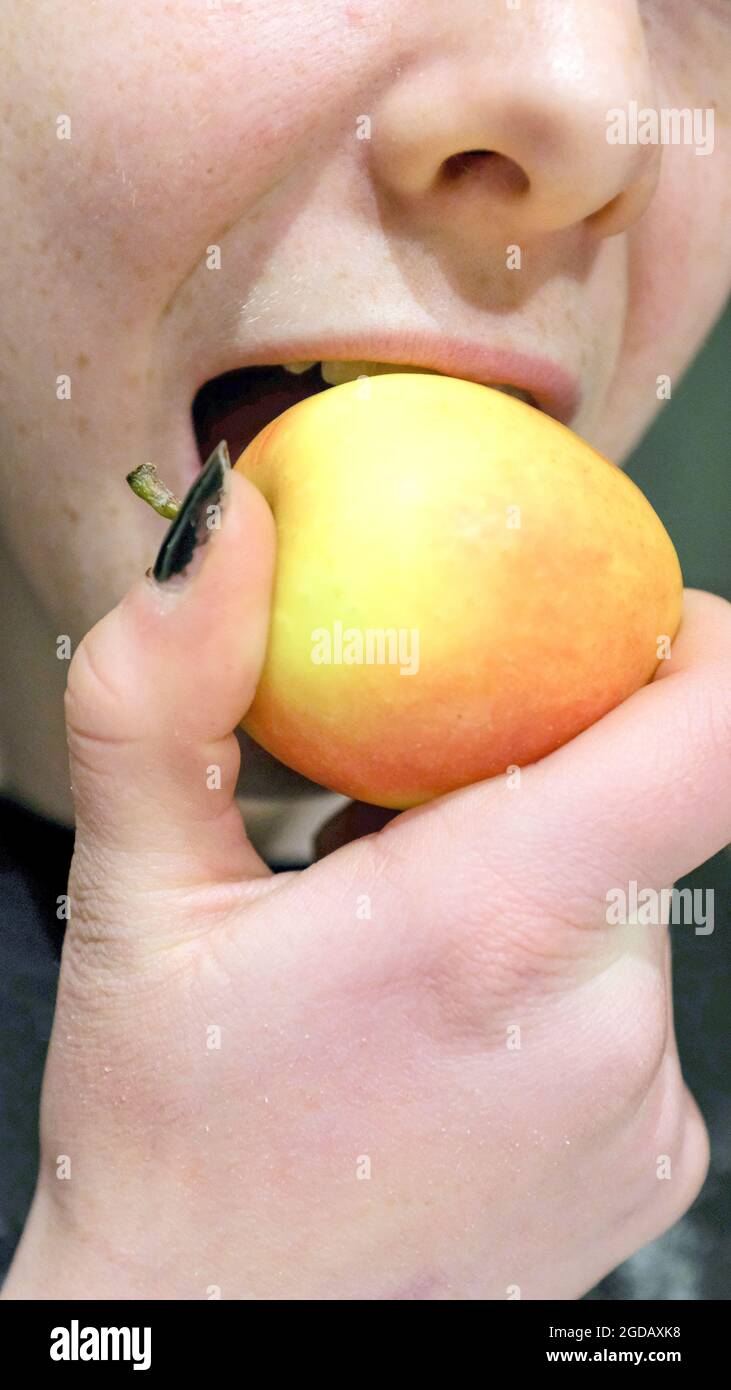 Comer una manzana, una de tus cinco al día Foto de stock