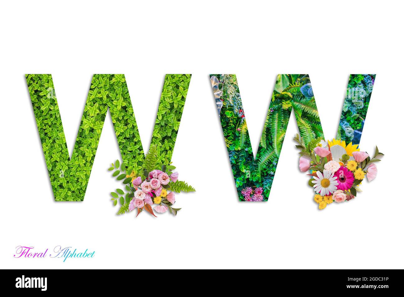 Alfabeto floral, letras florales, alfabeto botánico hecho de flores y