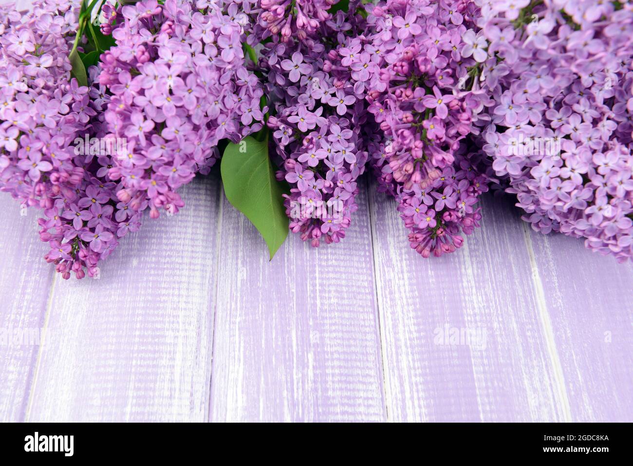Hermosas flores de color lila sobre fondo de madera Fotografía de stock -  Alamy