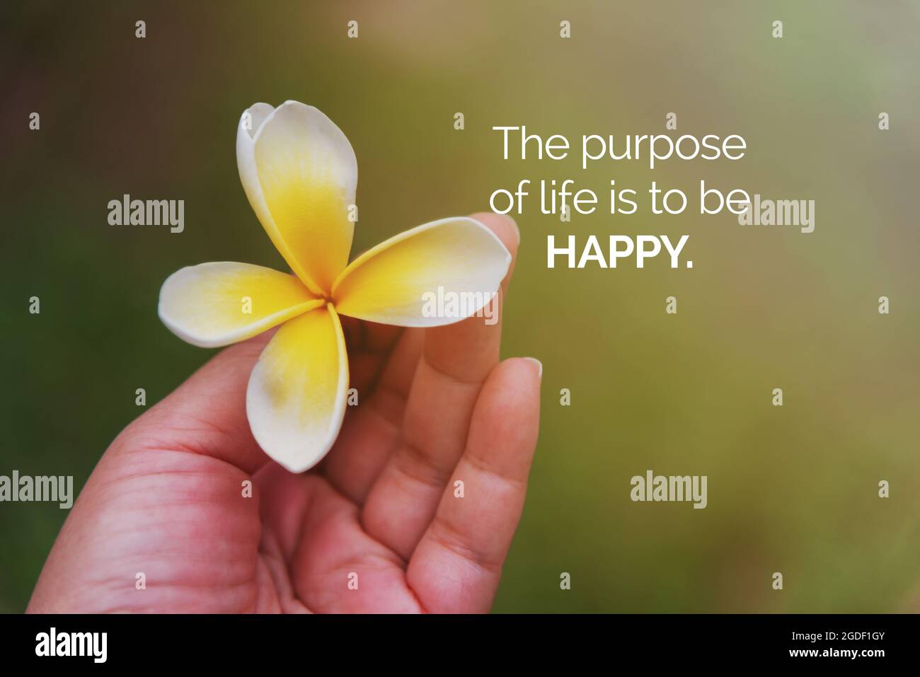 Citas motivacionales e inspiracionales - El propósito de la vida es ser feliz. Foto de stock