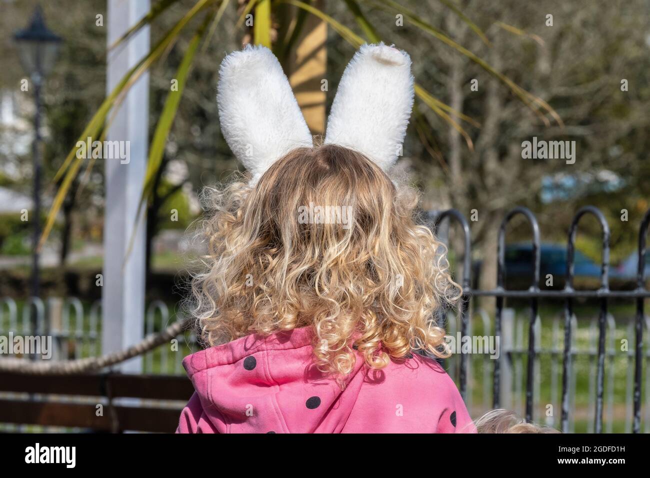 Vista posterior de una joven con pelo rubio rizado con suaves orejas de conejo. Foto de stock