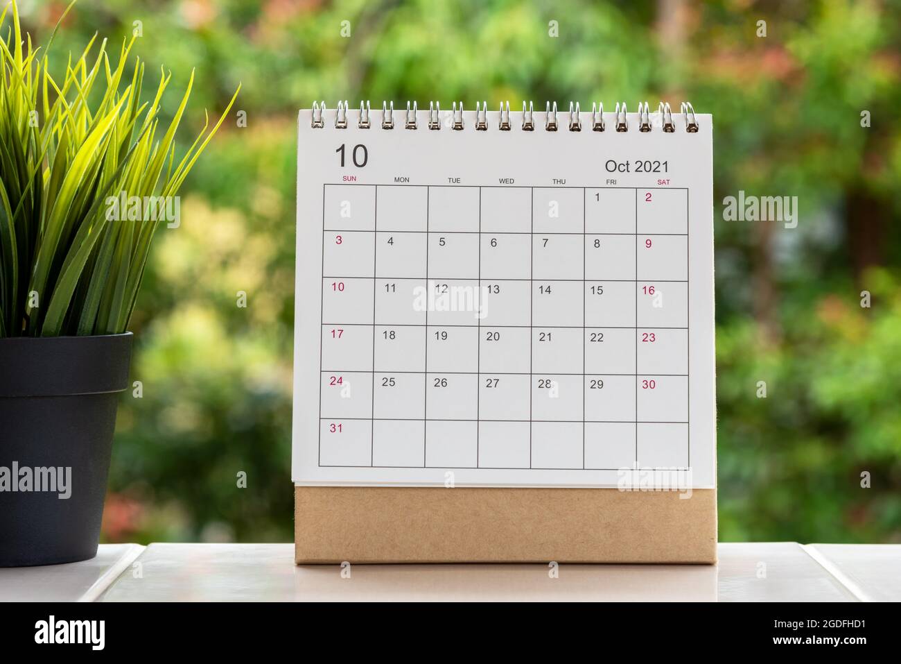 Calendario de escritorio del 2021 de octubre con planta en macetas Foto de stock