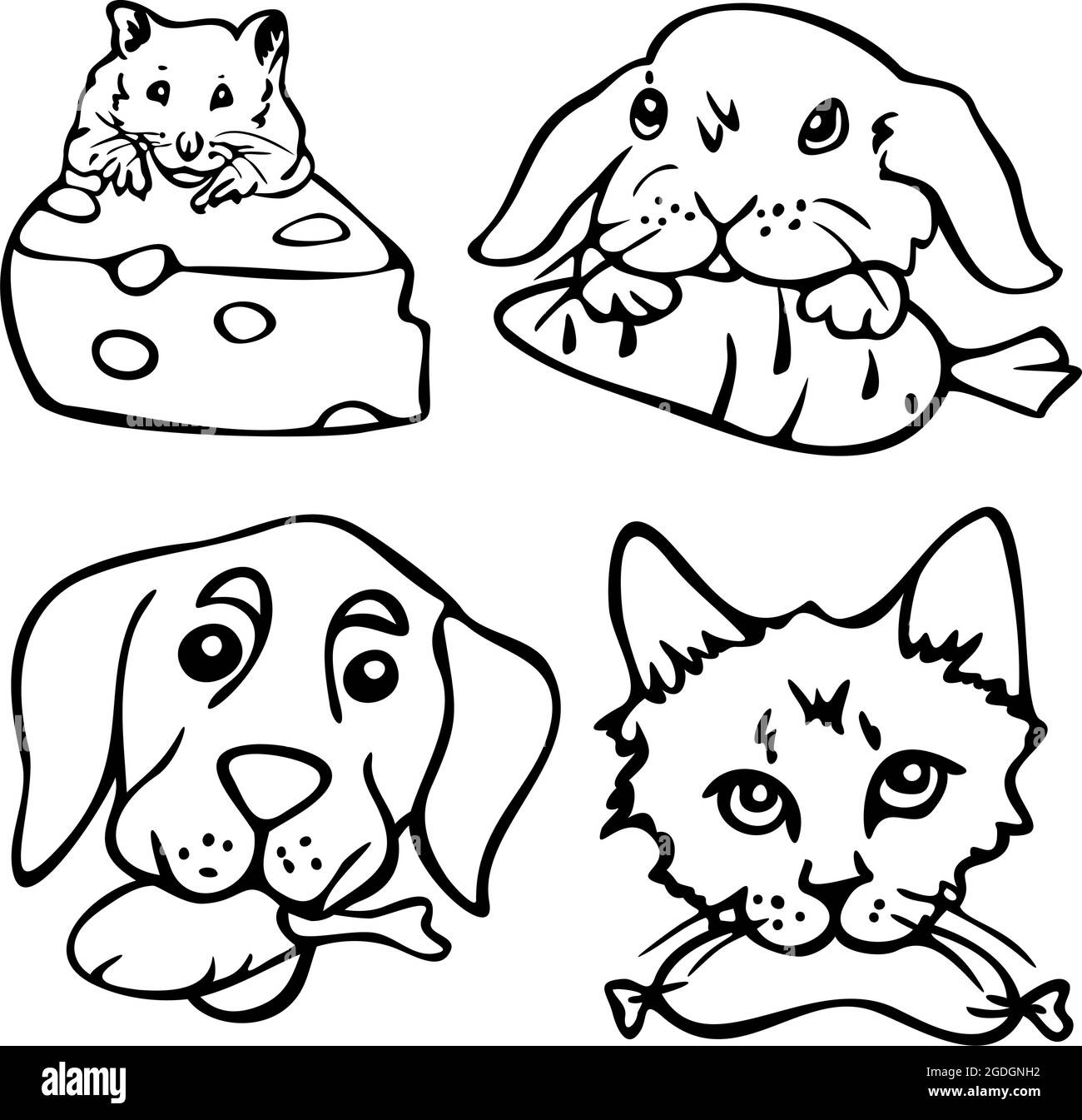 Colección de ilustraciones vectoriales de las caras de las mascotas con  alimentos en sus mouthes. Conejo con zanahoria, perro con pata de pollo,  gato con salchicha, ratón con ingenio Imagen Vector de