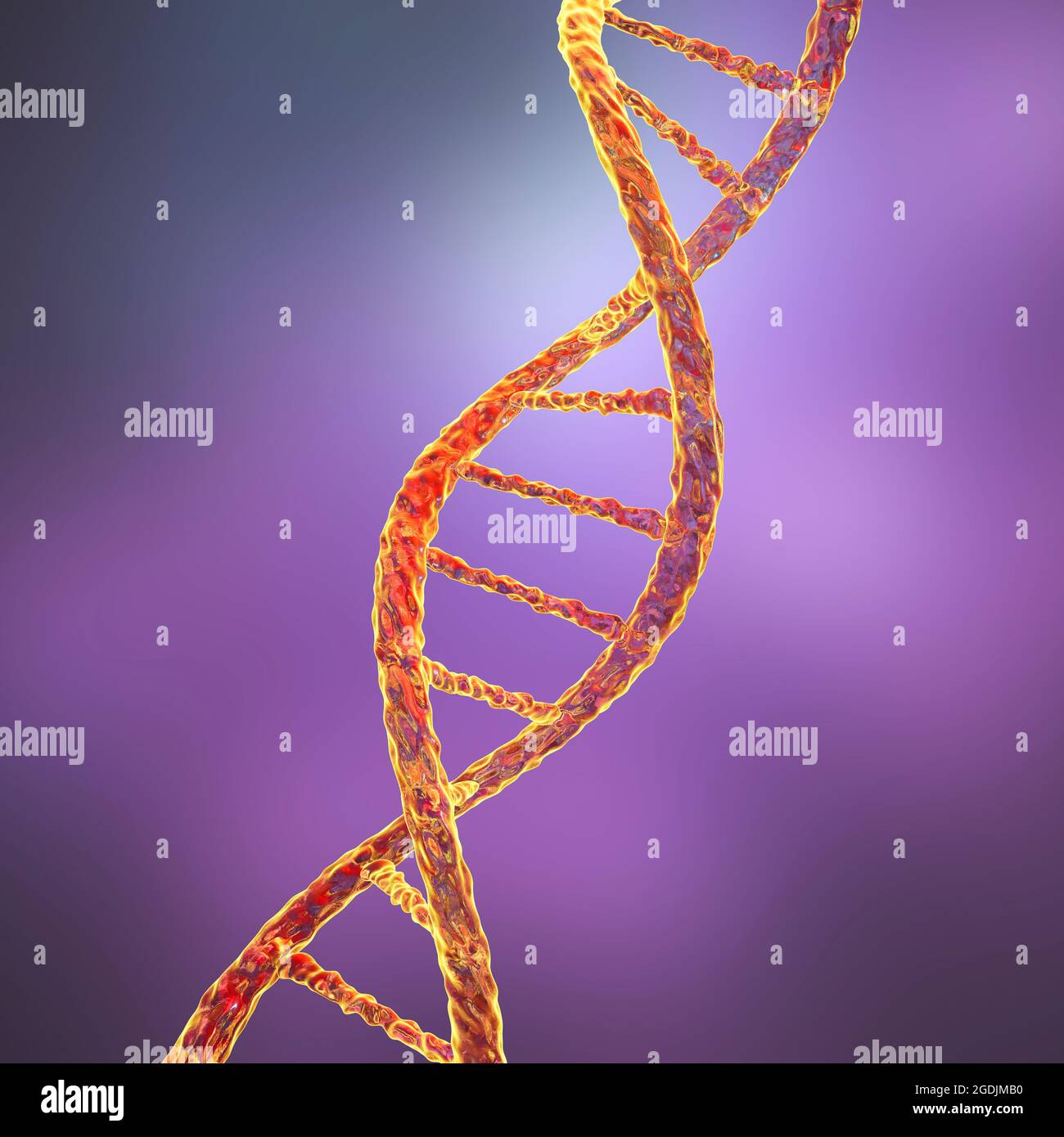 Molécula de ADN, ilustración Foto de stock