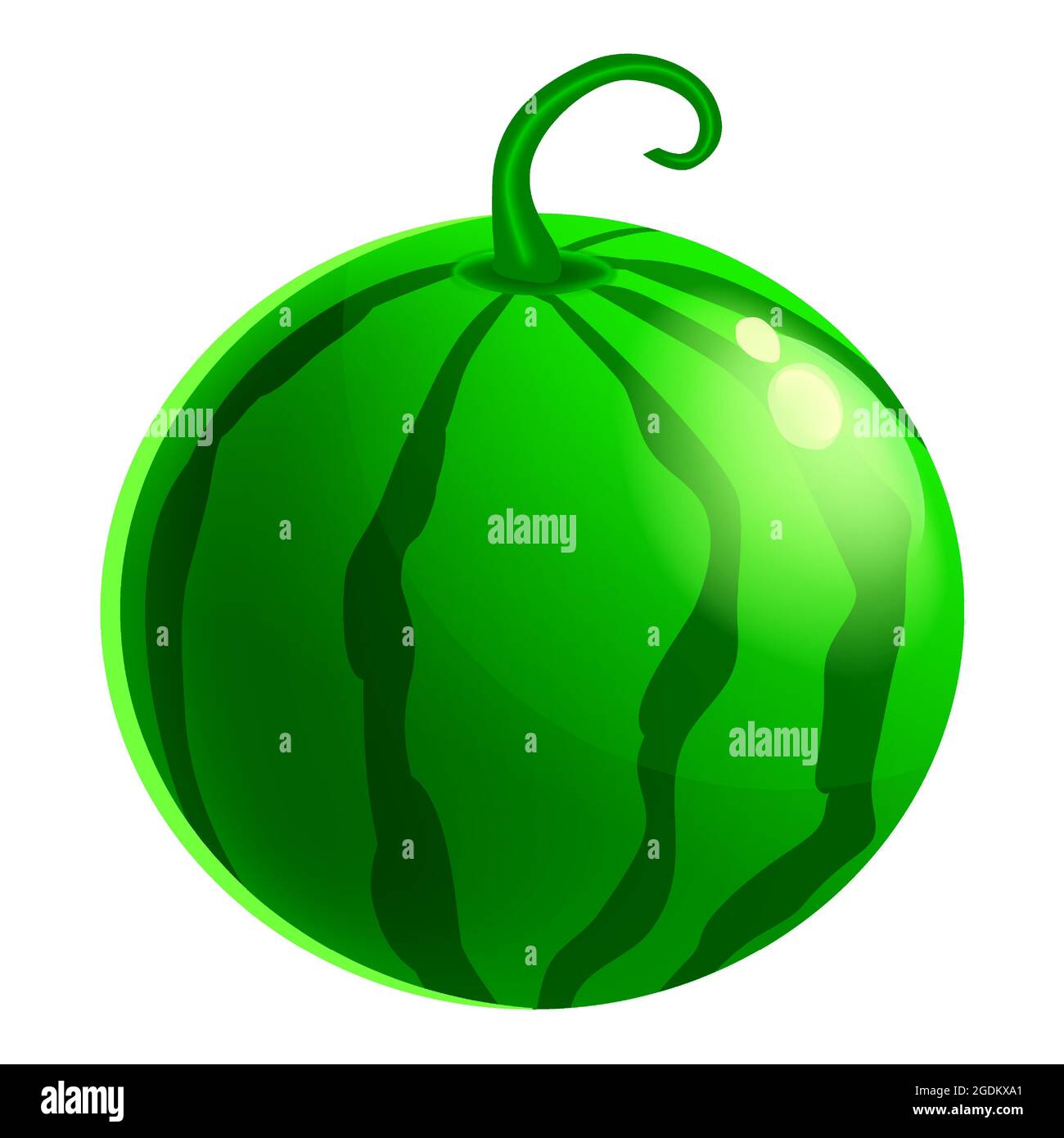 baya sandía, fruta entera orgánica fresca, color verde, icono. Ilustración  vectorial icono de dibujo animado Imagen Vector de stock - Alamy