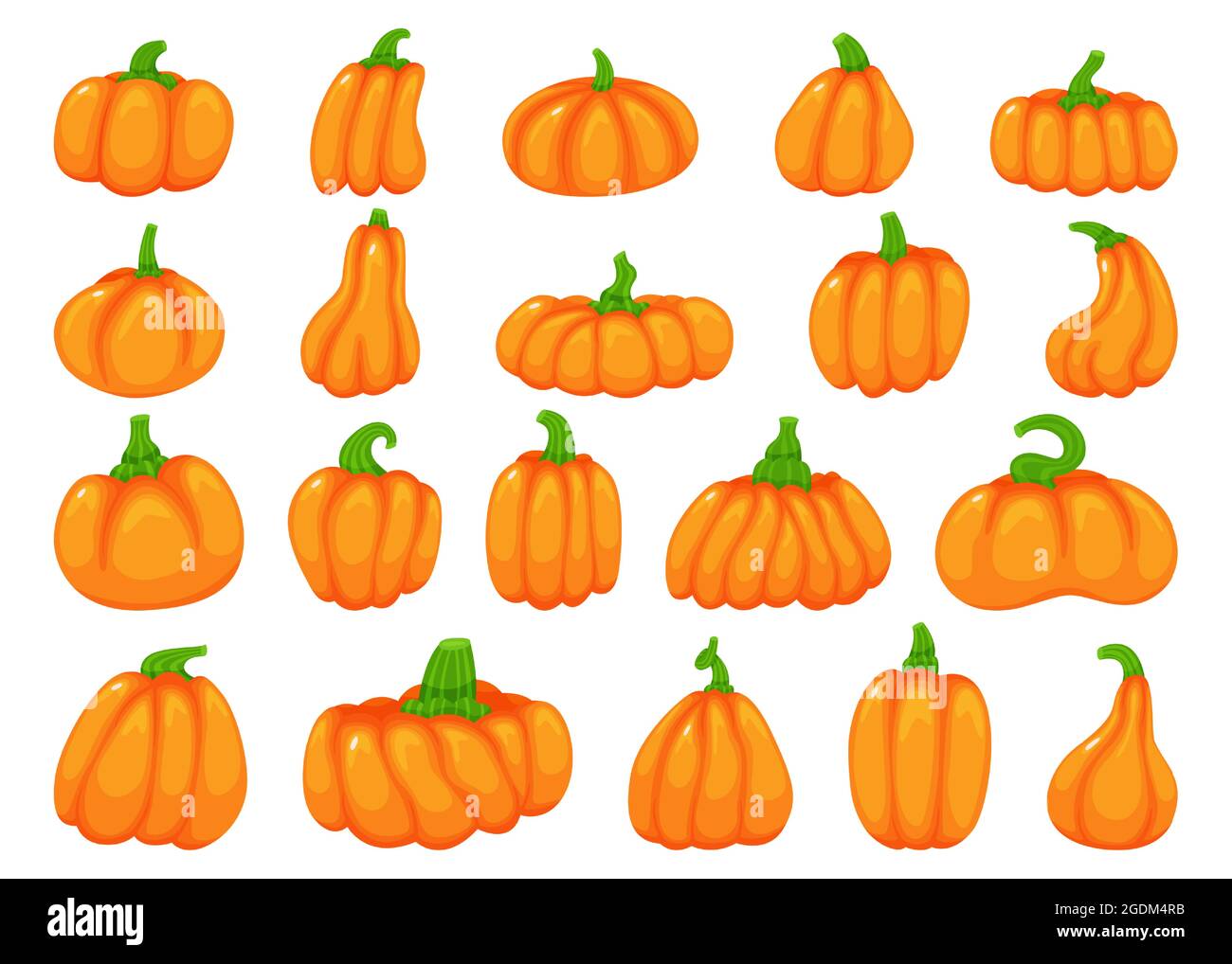 Dibujos animados halloween calabazas, caída tradicional calabaza naranja.  Calabazas lindas de varias formas, verdura de calabaza, elemento de  decoración de otoño vector conjunto. Planta orgánica sana para el día de  acción de