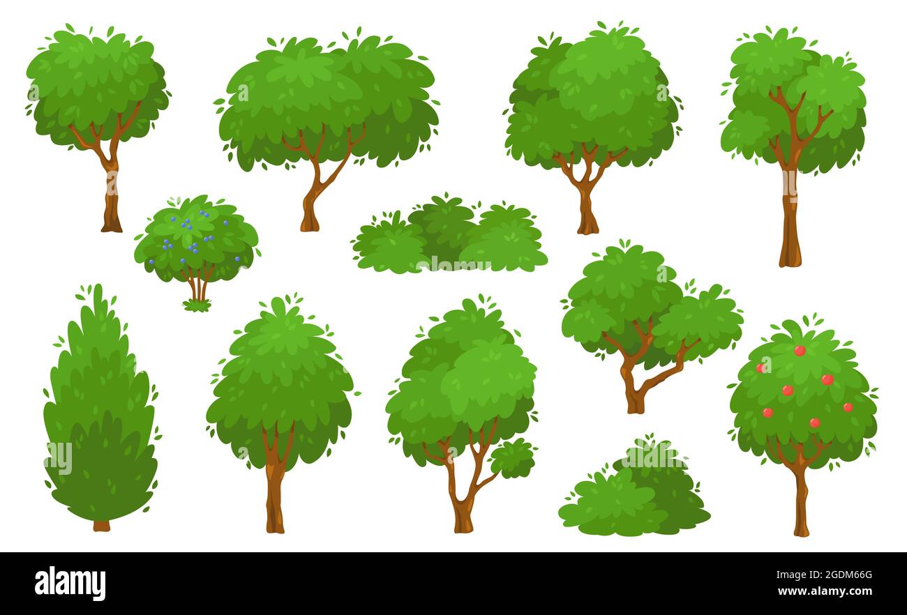 Árboles verdes de dibujos animados, arbustos y setos, bosque o árbol de  jardín. Plantas de follaje de verano, arbustos y arbustos en el patio  trasero, parque jardín plantas vector conjunto. Vegetación creciente,