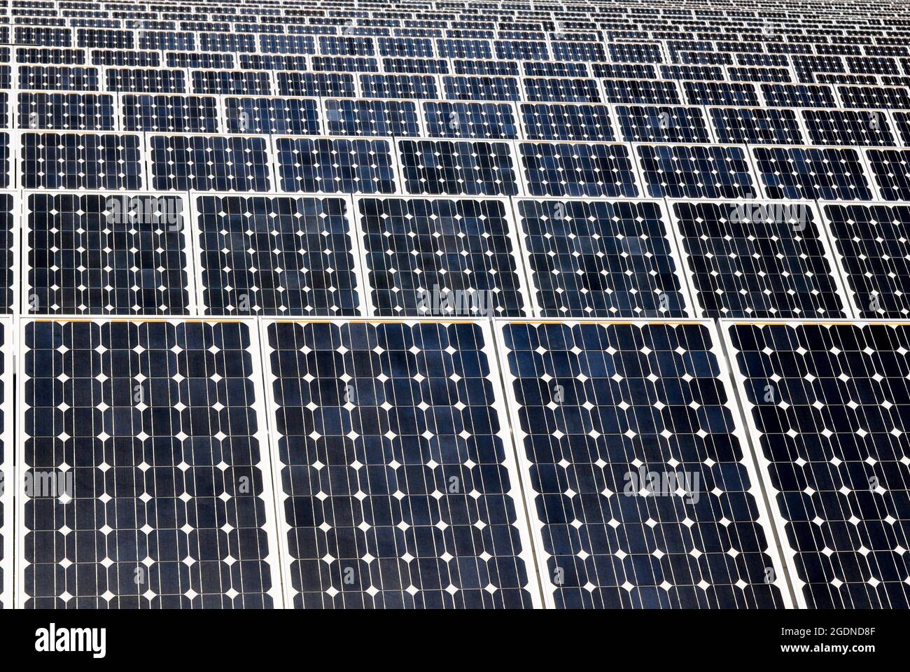 Conjunto de paneles solares negros que cubren toda la escena en un jardín solar en Extremadura Foto de stock