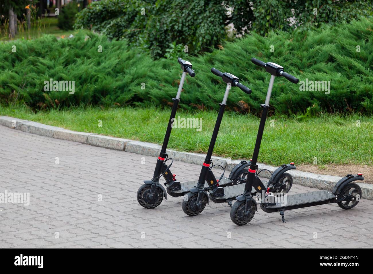 Scooters eléctricos en fila en el estacionamiento Sistema de alquiler de bicicletas de la ciudad, scooters públicos en la calle scooter eléctrica en Novosibirsk, Rusia. Foto de stock