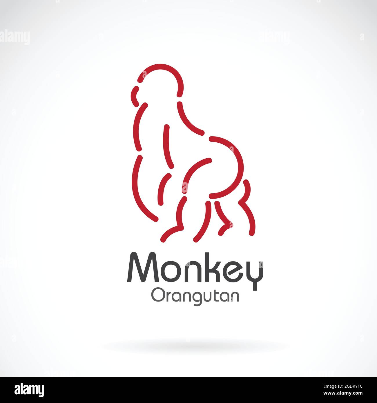 Imagen vectorial del diseño de orangután mono sobre fondo blanco. Ilustración de vector en capas fácil de editar. Animales salvajes. Ilustración del Vector