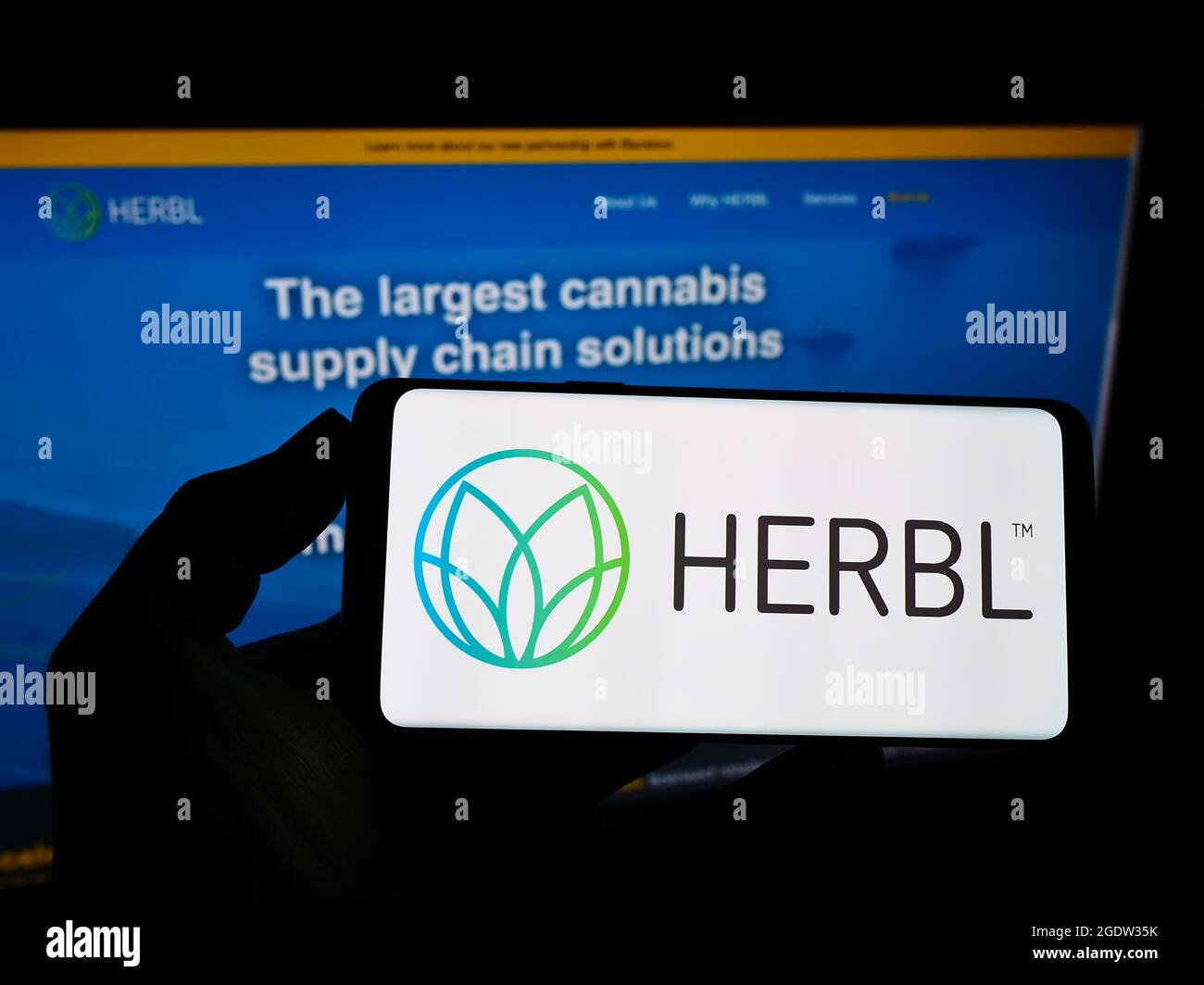 Persona con smartphone con el logotipo de la cadena de suministro de cannabis HERBL de EE.UU. En la pantalla frente al sitio web. Enfoque en la pantalla del teléfono. Foto de stock