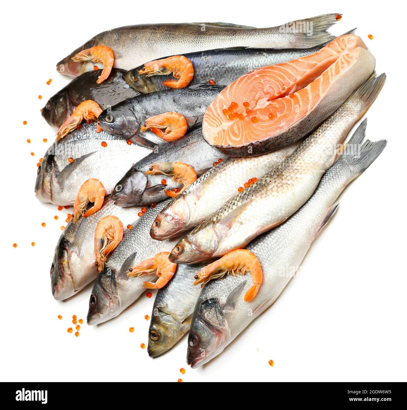 financiero Juguetón lema Fresh Catch de peces y camarones, aislado en blanco Fotografía de stock -  Alamy