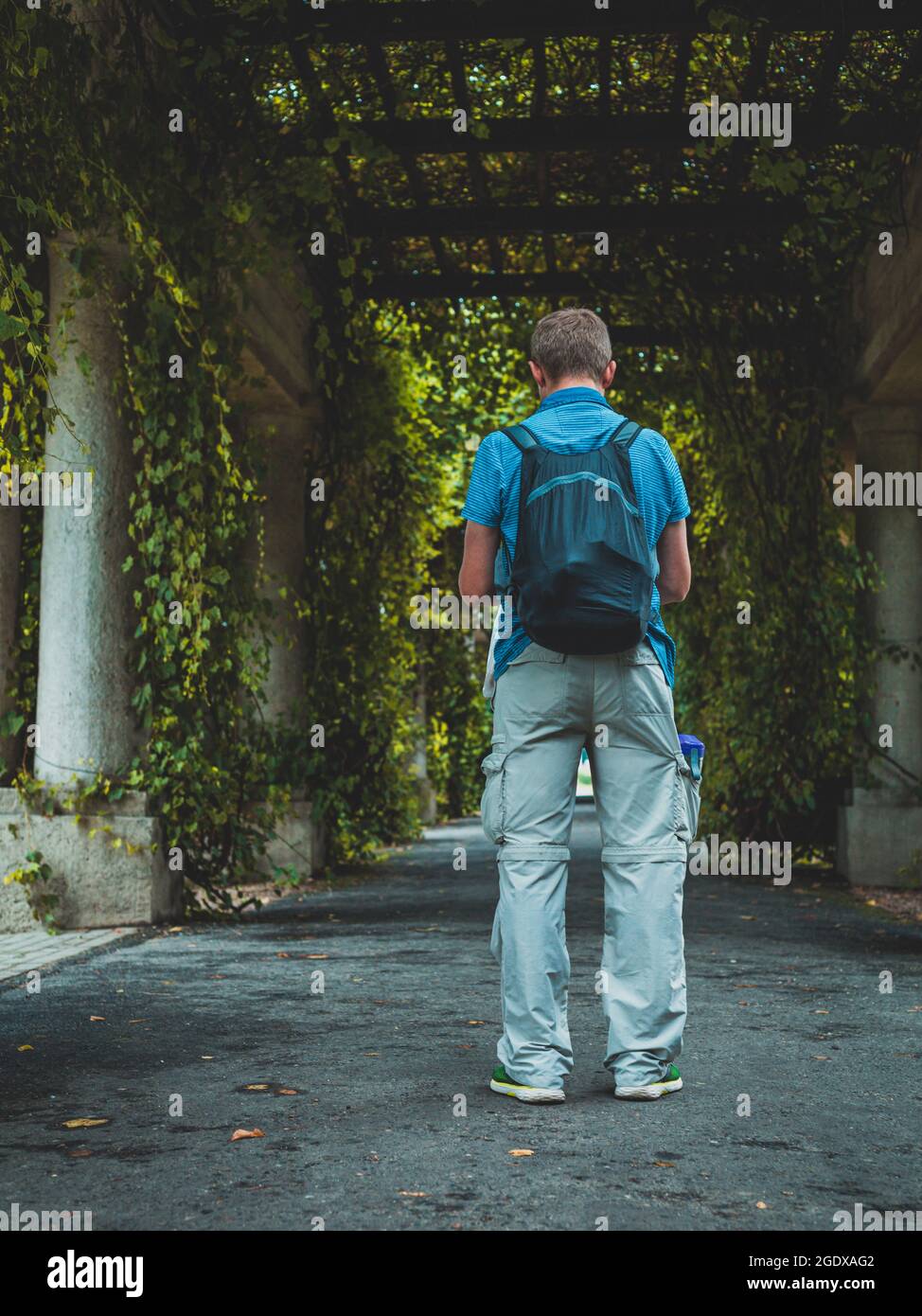 callejón pergola en el verano, hombre con mochila visto desde atrás  Fotografía de stock - Alamy