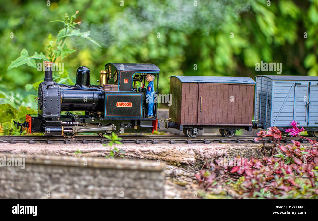 Cocción al vapor. Un modelo de tren de vapor a escala en un ferrocarril de jardín en Burbage, Wiltshire, Reino Unido Foto de stock