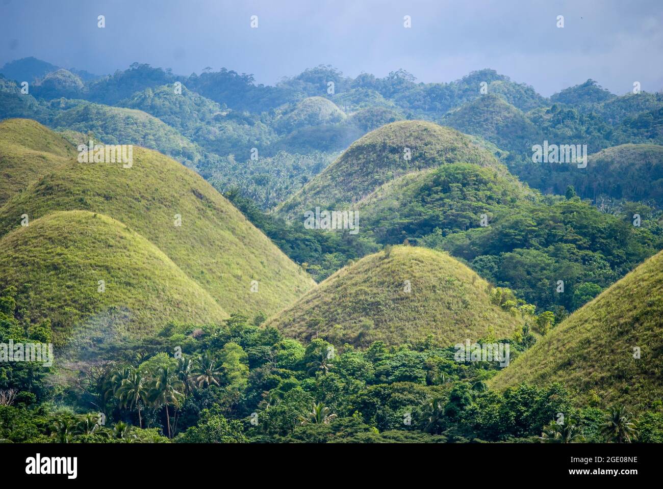 Las Colinas de Chocolate monumento geológico nacional, Carmen, Bohol, Visayas, Filipinas Foto de stock