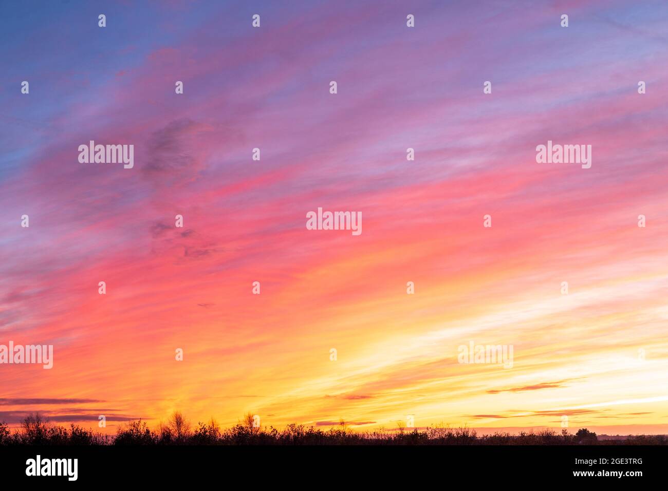 Cielo colorido al amanecer, primera luz en un día invernal en Kent. Horizonte plano bajo en el marco con la visualización de colores en el cielo por encima de antes de la salida del sol. Foto de stock