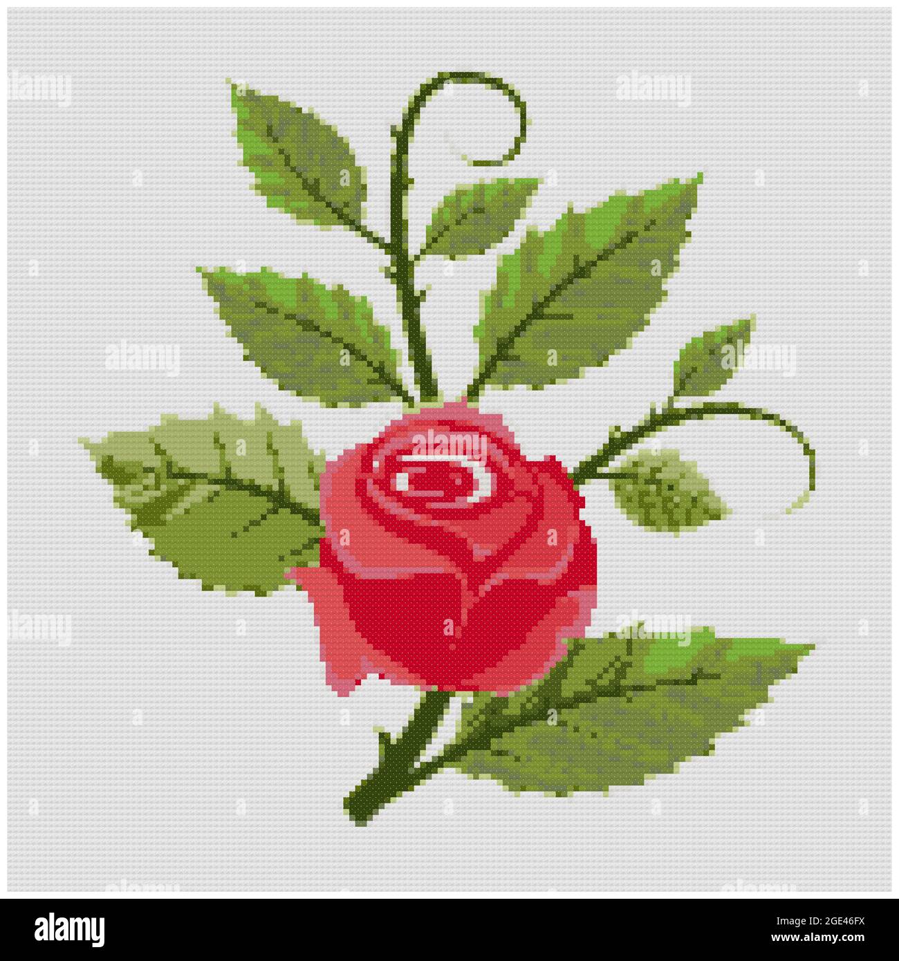 Flor de rosa roja y disposición de las hojas sobre fondo blanco.  Ilustración de bordado de punto de cruz. Imitación de la estructura de lona  tejida. Tela dic Fotografía de stock -