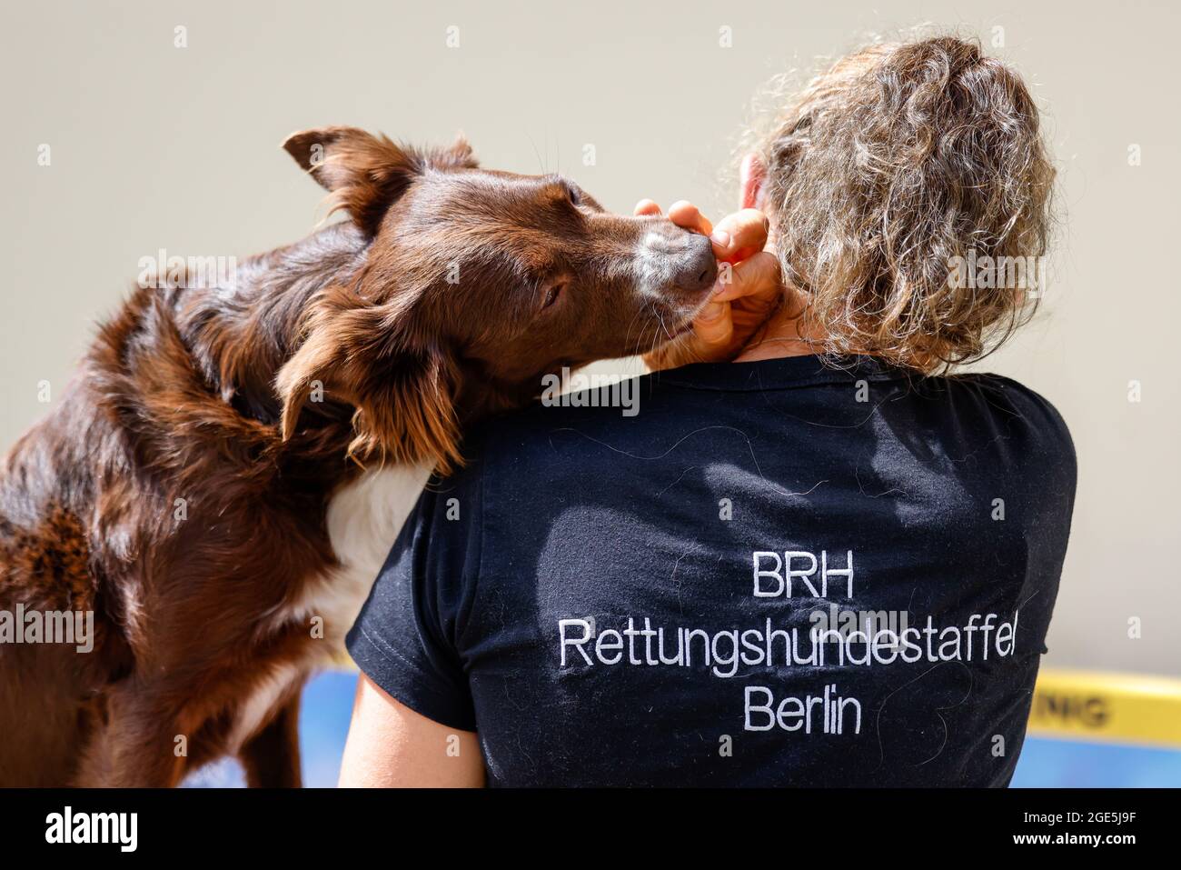 Berlín, Alemania. 15th de agosto de 2021. Un perro de rescate de la BRH Rattungshundestaffel Berlín recibe un regalo de su líder en la proyección de abanico de 'PAW Patrol: Der Kinofilm' en el cine en el Kulturbrauerei. Crédito: Gerald Matzka/dpa/Alamy Live News Foto de stock